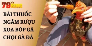 Bài Thuốc Ngâm Rượu Xoa Bóp Gà Chọi Gà Đá