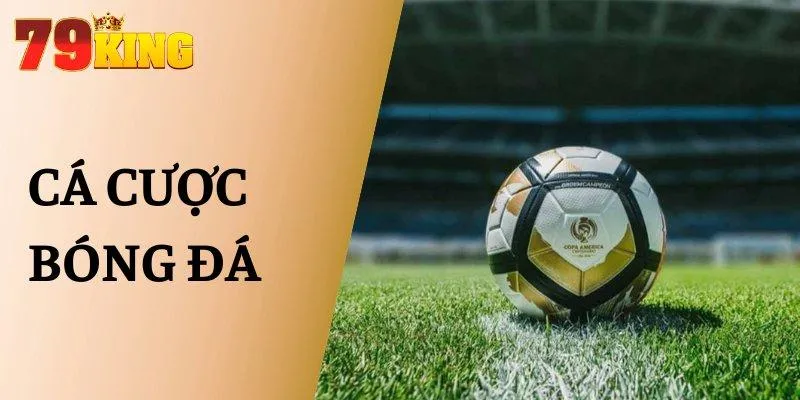 Cá Cược Bóng Đá
