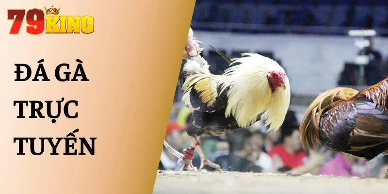 đá gà trực tuyến